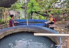 Bhabinkamtibmas-Desa-Gedang-Motivasi-Warga-Manfaatkan-Lahan-Tidur-untuk-Ketahanan-Pangan