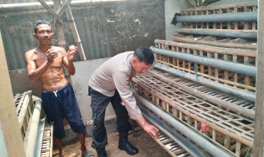 Bhabinkamtibmas-Desa-Jatikalang-Polsek-Krian-Tinjau-Peternakan-Ayam-Petelur
