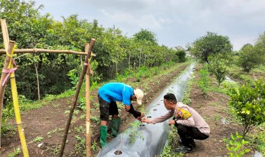 Warga-Sambisari-Antusias-Tanam-Hortikultura-Dukung-Ketahanan-Pangan