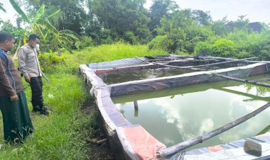 Polsek-Tarik-Dampingi-Warga-Kedungbocok-Budidaya-Ikan-Lele
