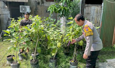 Bhabinkamtibmas-Desa-Kedungrejo-Polsek-Waru-Cek-Perkembangan-Tanaman-Sayur-di-Lahan-Produktif-Fasum-Desa