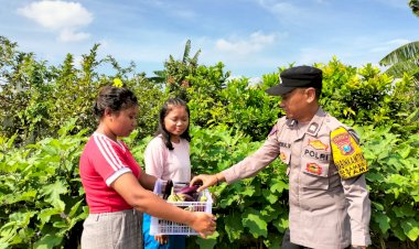 Bhabinkamtibmas-Desa-Sambibulu-Taman-Mengecek-Tanaman-Hortikultura-Warga