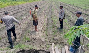 Bhabinkamtibmas-Cek-Lahan-Sayur-Warga-Desa-Singopadu,-Dukung-Program-Ketahanan-Pangan