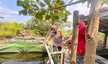 POLRESTA-SIDOARJO-|-Polwan-Penggerak-Ketahanan-Pangan-Brigpol-Shinta-Puspitasari-Turun-Langsung-ke-Warga