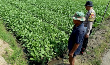 Optimalisasi-Lahan-Tidur,-Warga-Desa-Wonokupang-Tanam-Cabai-untuk-Dukung-Ketahanan-Pangan