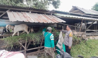 Bhabinkamtibmas-Sukodono-Patroli-Ketahanan-Pangan-Nasional-di-Pedesaan