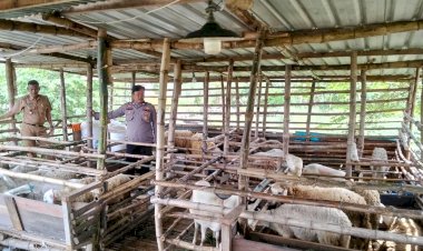 Kanit-Binmas-Polsek-Prambon-Tinjau-Peternakan-Kambing-Dukung-Program-Ketahanan-Pangan