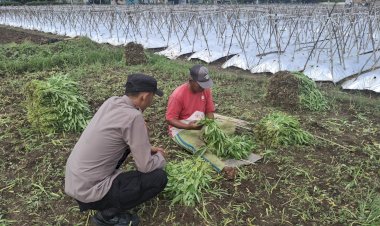 Edukasi-Ketahanan-Pangan,-Bhabinkamtibmas-Ajak-Petani-Manfaatkan-Lahan-Kosong-untuk-Tanam-Kangkung