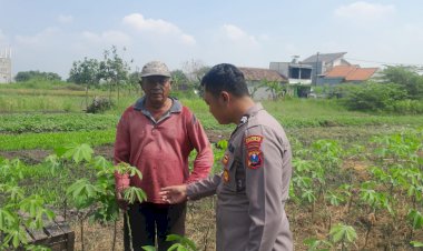 Bhabinkamtibmas-Desa-Suko,-Cek-Lahan-Ketahanan-Pangan-P2B-Tanaman-Singkong