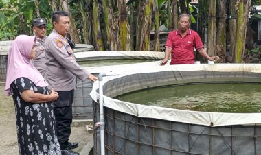 Kapolsek-Porong-Tunjukkan-Kepedulian-terhadap-Ketahanan-Pangan,-Tinjau-Budidaya-Lele-di-Kebonagung