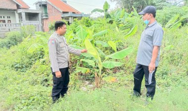 Bhabinkamtibmas-Wonokasian-Dorong-Ketahanan-Pangan-Lewat-Budidaya-Pisang-di-Lahan-Kosong