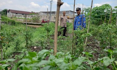 Bhabinkamtibmas-Desa-Kemantren-Bersama-Warga-Data-Kendala-Lahan-Cabai-untuk-Ketahanan-Pangan