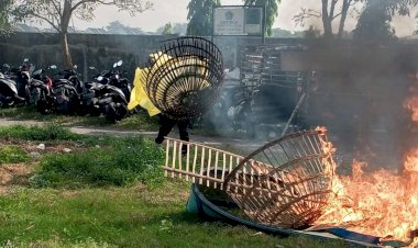 Polisi-Bongkar-Arena-Judi-Sabung-Ayam-di-TPS-Ngaglik-Sidoarjo