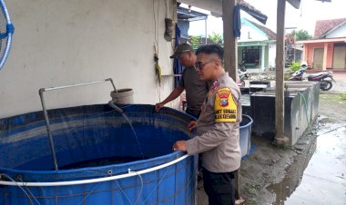 Budidaya-Ikan-Koi-Topang-Ketahanan-Pangan-Desa-Rejeni