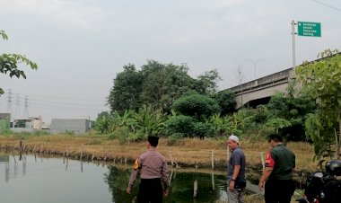 Manfaatkan-Lahan-Kosong,-Warga-Sepanjang-Sidoarjo-Kelola-Kolam-Ikan-Gurami-Dukung-Ketahanan-Pangan