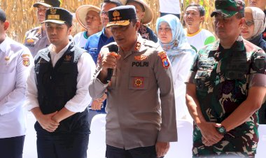 Dukung-Swasembada-Pangan,-Kapolda-Jatim-Bersama-Forkopimda-Panen-Raya-Jagung-Kuartal-II-di-Ngawi