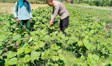 Polsek-Porong-Masifkan-Edukasi-Ketahanan-Pangan-lewat-Program-P2B-di-Desa-Pamotan
