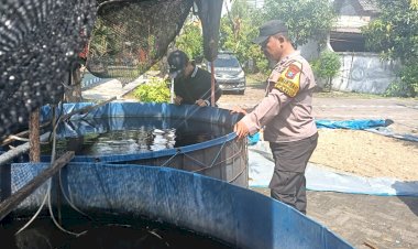 Program-P2B-di-Candi-Dapat-Dukungan-Polisi,-Kolam-Lele-Jadi-Sumber-Gizi-dan-Ekonomi