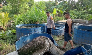 Polsek-Tulangan-Dukung-Program-Ketahanan-Pangan-Melalui-Peternakan-Ikan-Lele