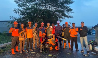 Turun-Bareng-Evakuasi-Pohon-Tumbang-di-Tulangan-Sidoarjo