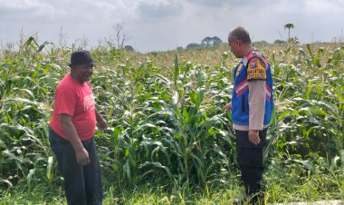 Kapolresta-Sidoarjo-Instruksikan-Jajaran-Optimalkan-Program-Ketahanan-Pangan