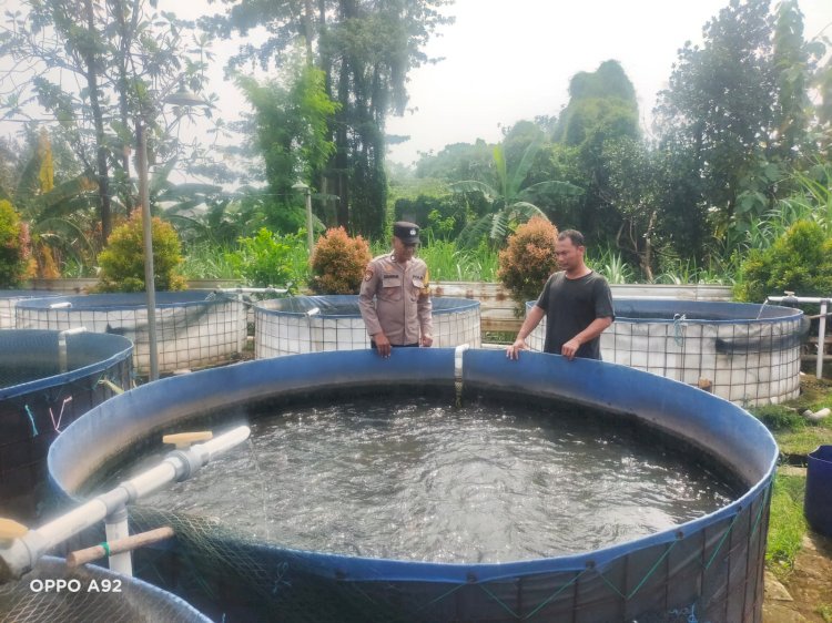 Aiptu Sudarmadi Bhabinkamtibmas di Polsek Taman Kolaborasi Warga Wujudkan Swasembada Pangan