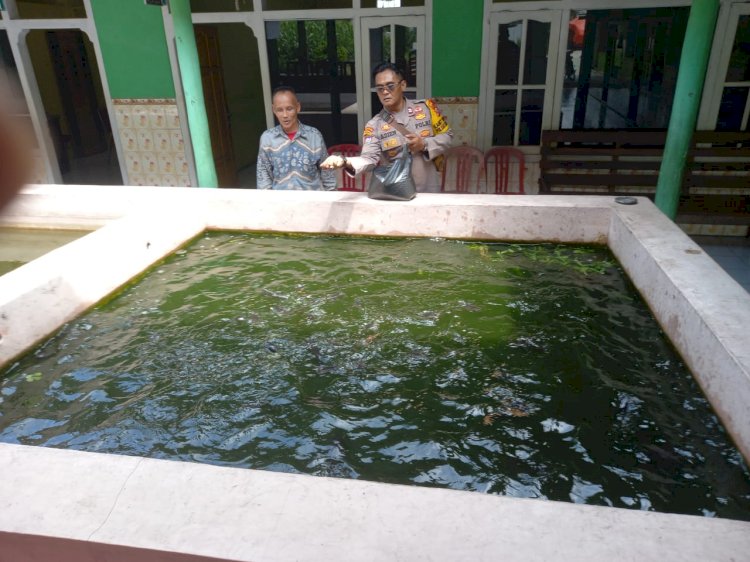 Kanit Binmas Polsek Krembung dan Kades Lemujut Tinjau Budidaya Ikan Gurami dan Lele di Lahan Bumdes