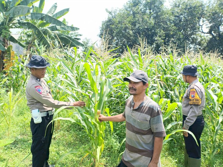Kapolsek Balongbendo Berikan Pendampingan untuk Swasembada Pangan Mandiri di Desa Penambangan