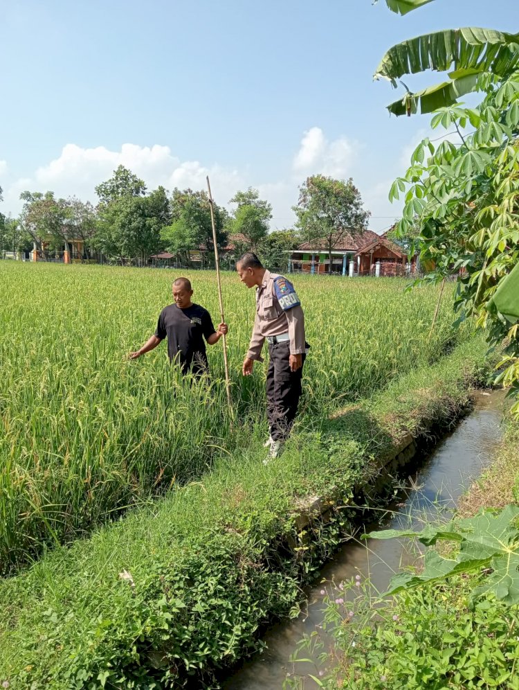 Kapolsek Tanggulangin Dukung Ketahanan Pangan Lewat Program Pekarangan Pangan Bergizi