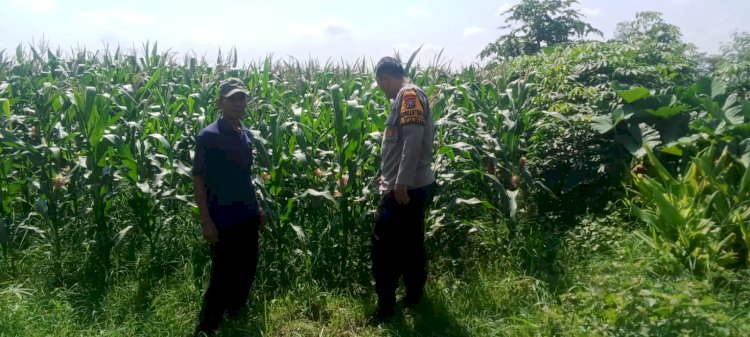 Polsek Tarik Ajak Warga Berkolaborasi Masifkan Giat Ketahanan Pangan