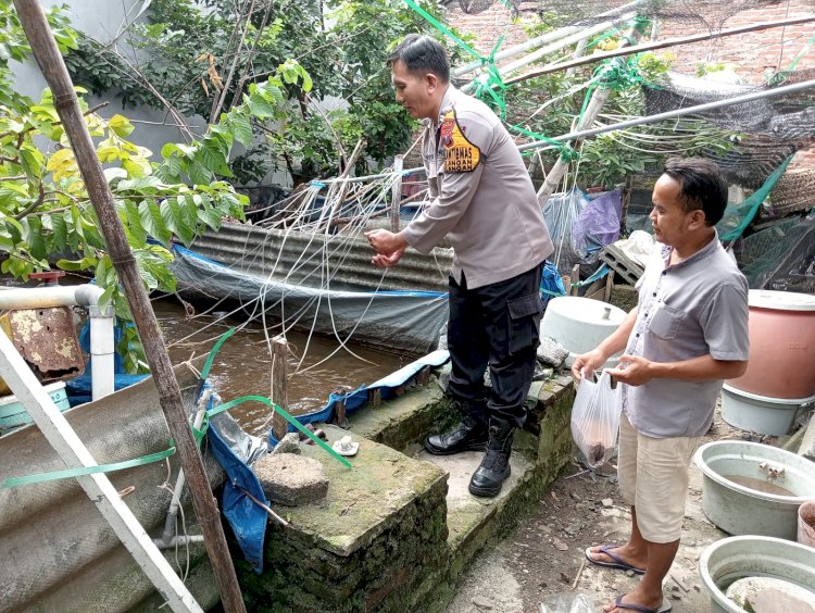 Bhabinkamtibmas Desa Bulang Prambon Cek Tanaman Warga, Dukung Program Ketahanan Pangan Nasional