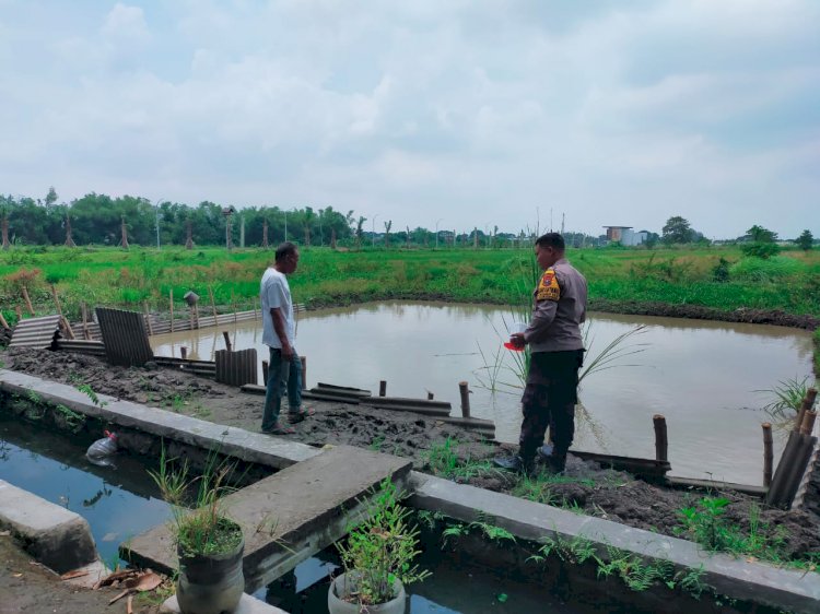 Implementasi Asta Cita Presiden Prabowo, Budidaya Ikan Nila di Sukodono Perkuat Ketahanan Pangan Kabupaten Sidoarjo