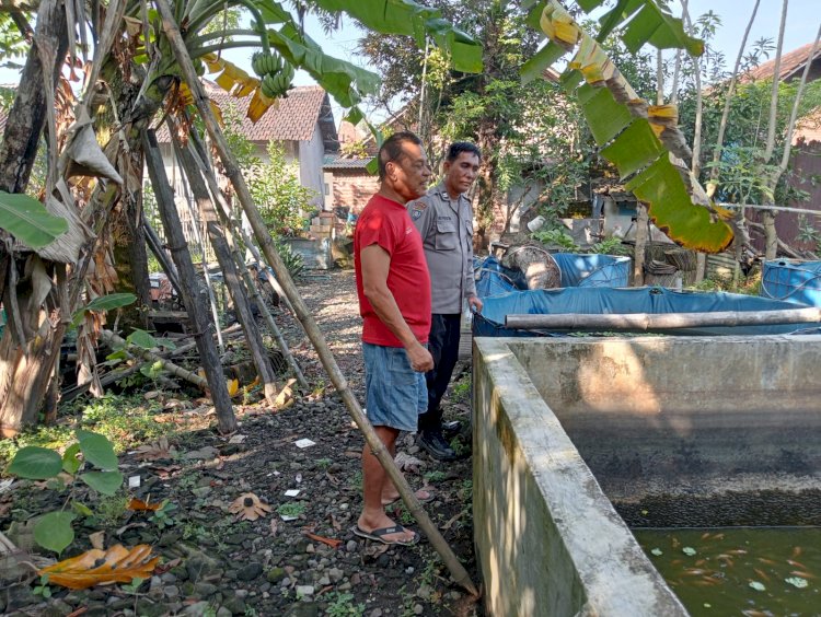 Bhabinkamtibmas Tulangan Tinjau Lahan Ketahanan Pangan Ikan Nila
