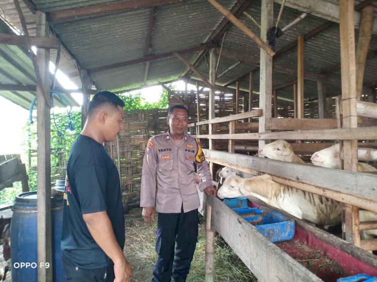 Bhabinkamtibmas Desa Medalem Polsek Tulangan Dampingi Pendataan Kendala Program P2B untuk Peternakan Kambing