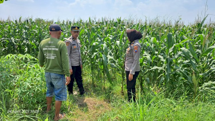 Tim Monev Program Ketahanan Pangan Polresta Sidoarjo Tinjau Optimalisasi Pengelolahan Lahan Bergizi di Kecamatan Tarik