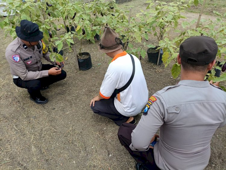 Polsek Balongbendo Edukasi Warga Kembangkan Lahan Tidur untuk Dukung Ketahanan Pangan