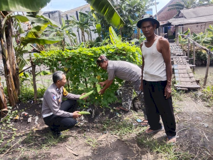 Di Tengah Patroli, Bhabinkamtibmas Sidokerto Ajak Warga Rawat Tanaman Pisang Dukung Ketahanan Pangan
