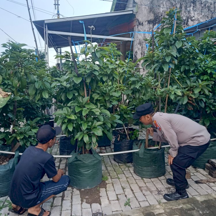 Bhabinkamtibmas Gencarkan Patroli Sambang Desa, Dukung Ketahanan Pangan di Tanggulangin