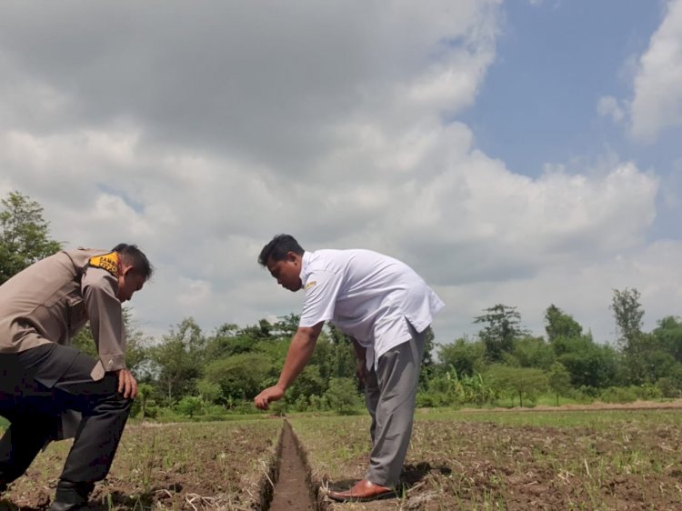 Bhabinkamtibmas Wonokalang Wonoayu Tinjau Lokasi Ketahanan Pangan Warga