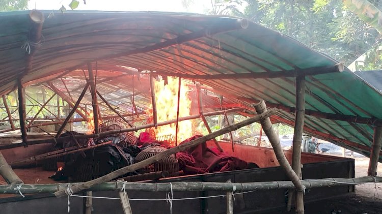 Tindak Tegas Perjudian Polres Mojokerto Bongkar Arena Sabung Ayam