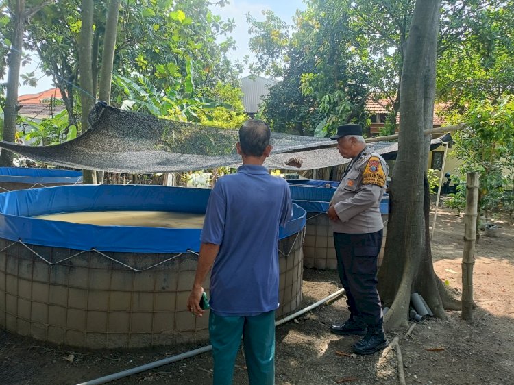 Polsek Wonoayu Tinjau Progres Lahan Ketahanan Pangan Bergizi di Desa Simoketawang
