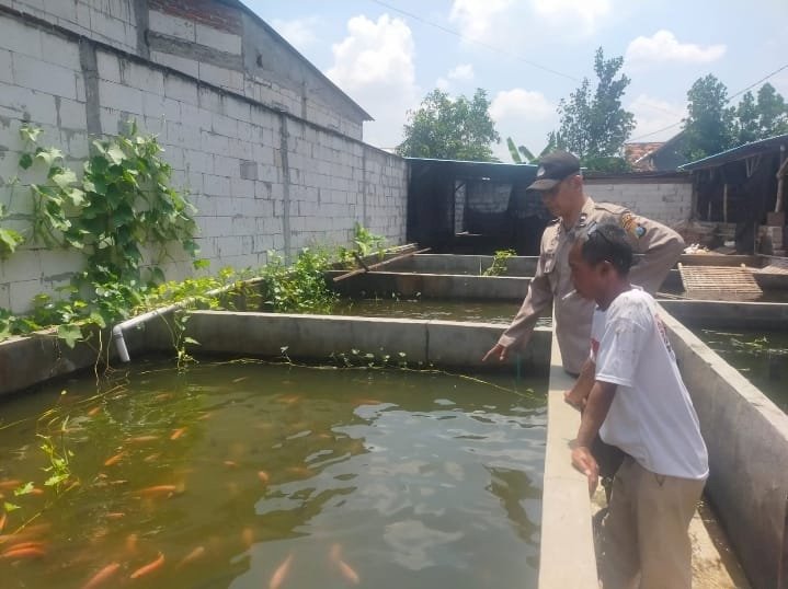 Bhabinkamtibmas Sambangi Desa Segodobancang, Dukung Ketahanan Pangan Lewat Budidaya Ikan Nila