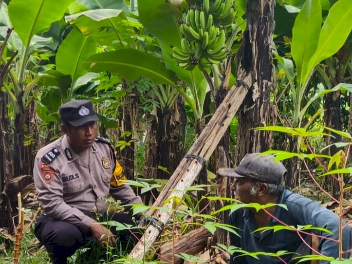 Kapolsek Sedati Masifkan Program Ketahanan Pangan dengan Peran Aktif Bhabinkamtibmas