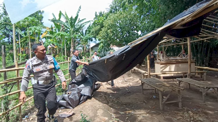Tegas Berantas Perjudian Polisi Bongkar Lima Arena Sabung Ayam di Jember