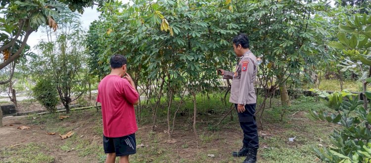Polsek Wonoayu Tinjau Perkembangan Lahan Ketahanan Pangan