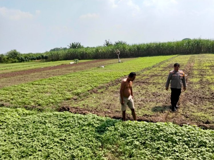 Kanit Binmas Prambon Patroli Sambang Petani Dukung Ketahanan Pangan