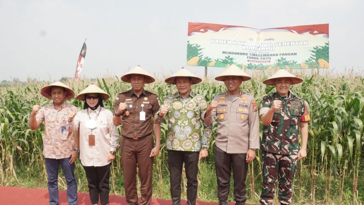 Forkopimda Sidoarjo Dukung Ketahanan Pangan, Ikuti Panen Raya Jagung Serentak