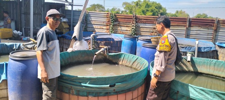 Polresta Sidoarjo dan Polsek Krembung Sinergi Dorong Ketahanan Pangan Lewat Budidaya Lele