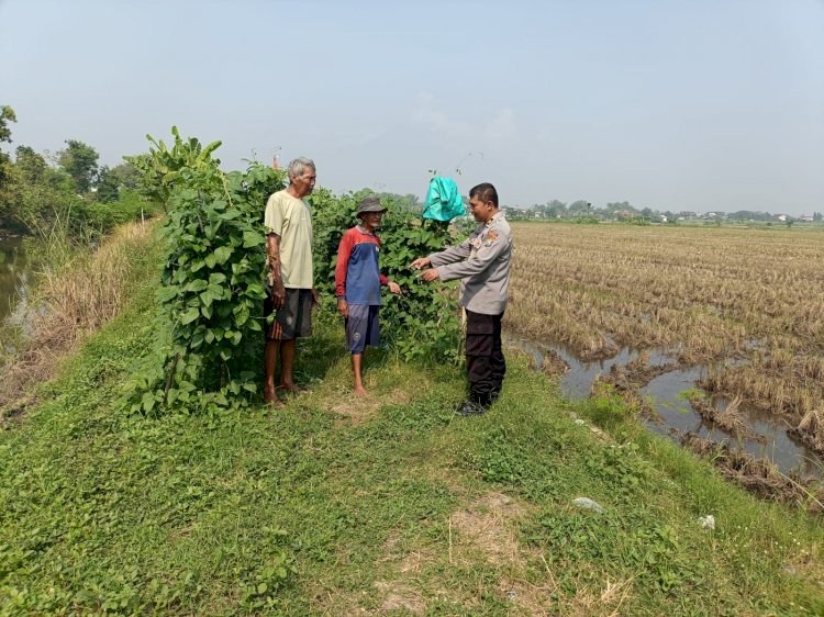 Polsek Porong Tinjau Program P2B di Lahan Sungai Desa Lajuk, Dukung Ketahanan Pangan